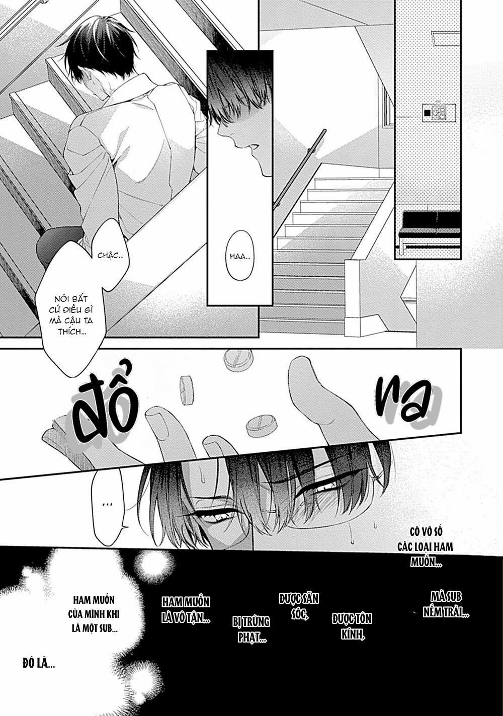 Hệ thống kẻ thống trị và phục tùng 1 trang 12