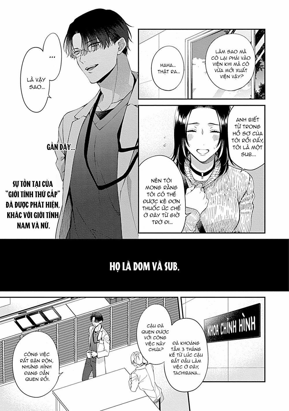 Hệ thống kẻ thống trị và phục tùng 1 trang 8