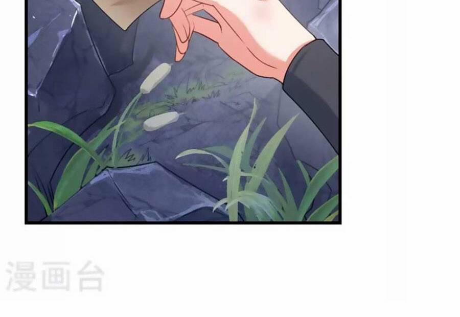 Hệ Thống Xuyên Nhanh: Ác Nam Không Dễ Chọc 106 trang 23