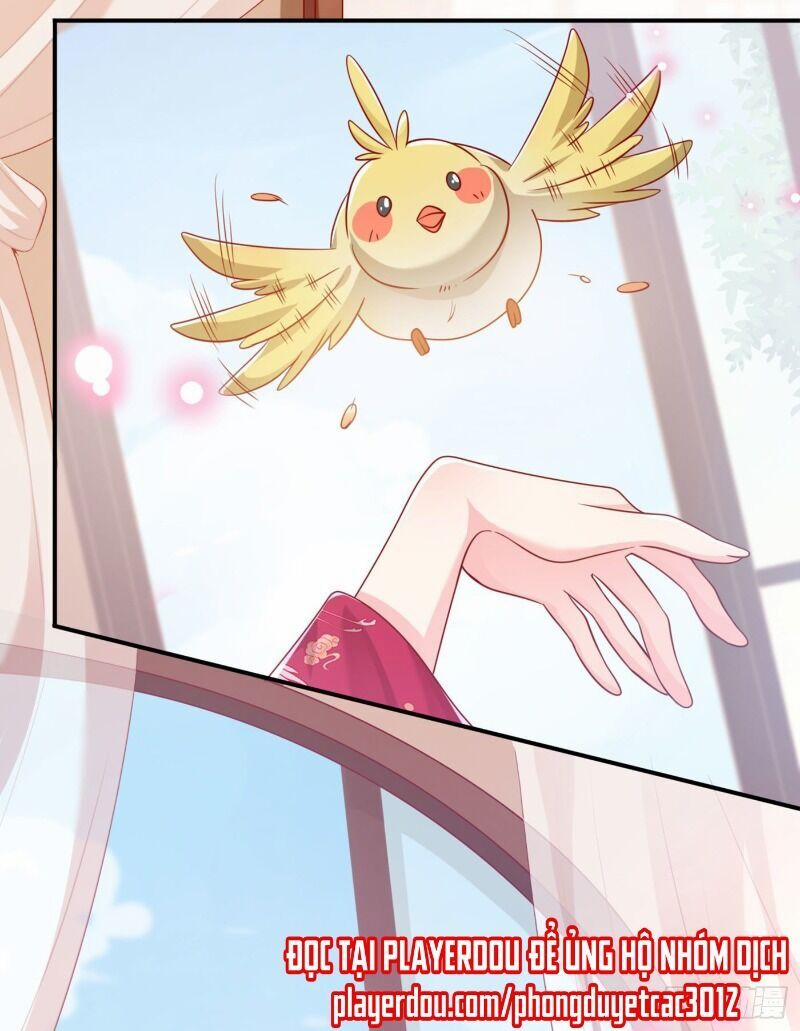 Hệ Thống Xuyên Nhanh: Ác Nam Không Dễ Chọc 21 trang 32