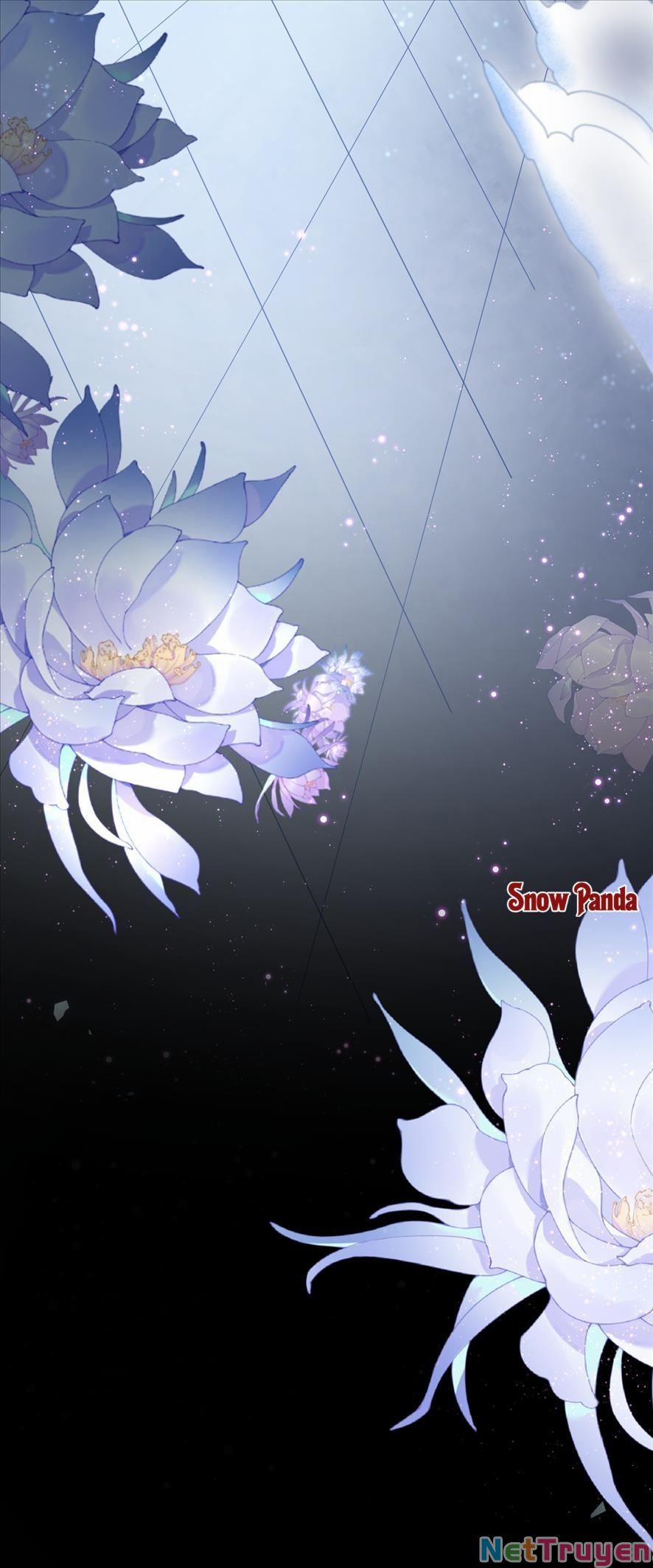 Hệ Thống Xuyên Nhanh: Tên Tra Nam Này Có Gì Đó Không Đúng Lắm! 1 trang 10