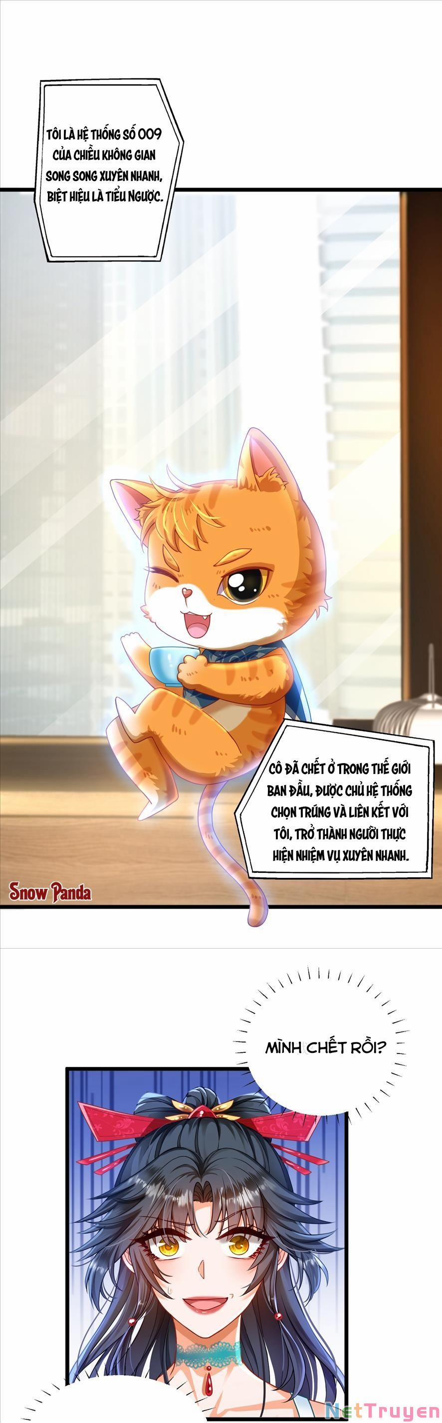 Hệ Thống Xuyên Nhanh: Tên Tra Nam Này Có Gì Đó Không Đúng Lắm! 1 trang 16