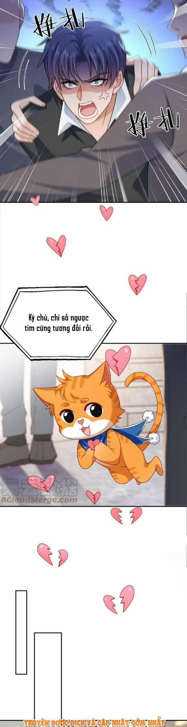 Hệ Thống Xuyên Nhanh: Tên Tra Nam Này Có Gì Đó Không Đúng Lắm! 20 trang 18