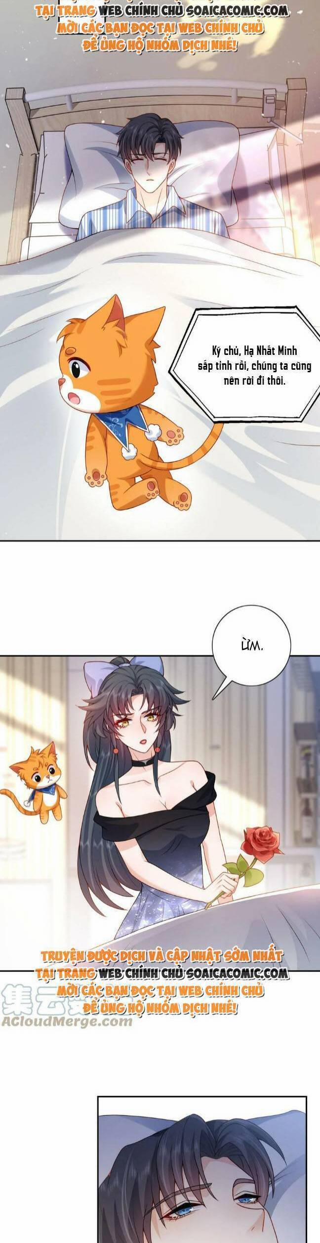 Hệ Thống Xuyên Nhanh: Tên Tra Nam Này Có Gì Đó Không Đúng Lắm! 20 trang 19