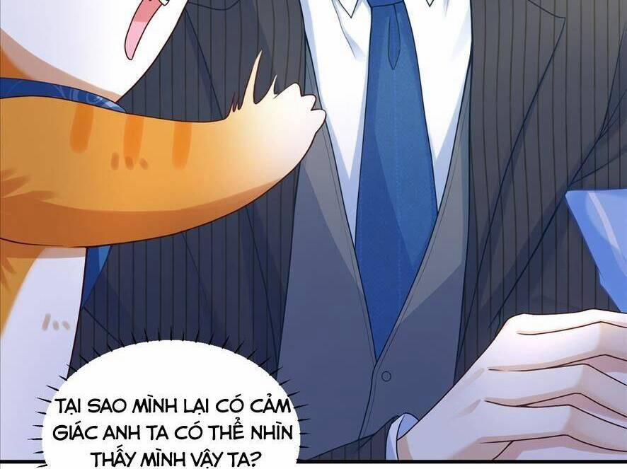 Hệ Thống Xuyên Nhanh: Tên Tra Nam Này Có Gì Đó Không Đúng Lắm! 5 trang 3