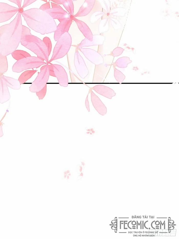 Hệ Thống Xuyên Nhanh : Thú Cưng Độc Quyền Của Vua 1 trang 17