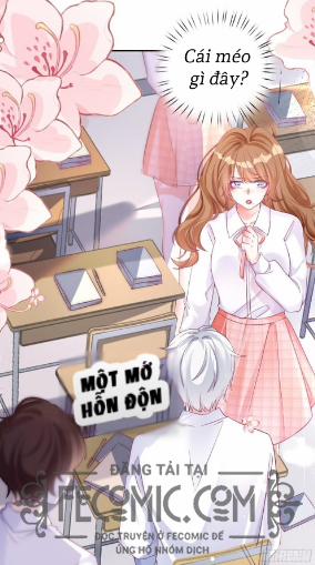 Hệ Thống Xuyên Nhanh : Thú Cưng Độc Quyền Của Vua 1 trang 19