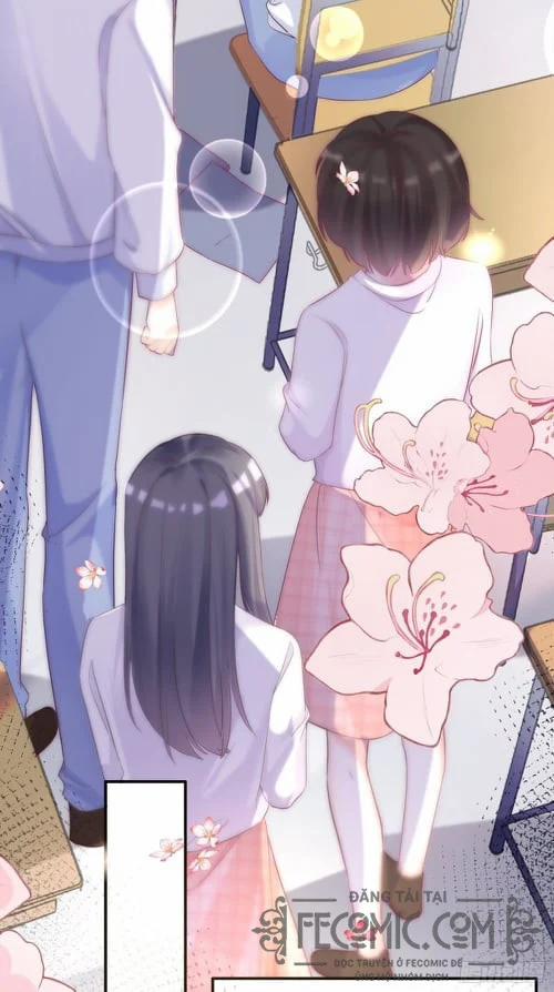 Hệ Thống Xuyên Nhanh : Thú Cưng Độc Quyền Của Vua 1 trang 20