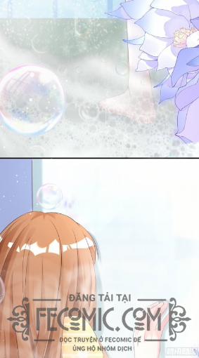 Hệ Thống Xuyên Nhanh : Thú Cưng Độc Quyền Của Vua 1 trang 8