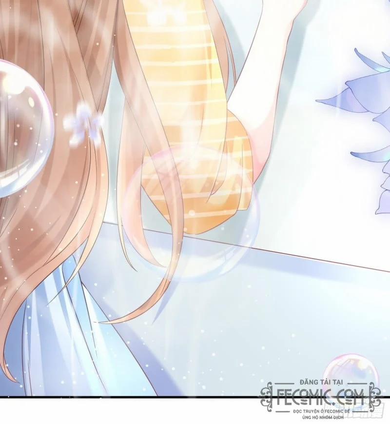 Hệ Thống Xuyên Nhanh : Thú Cưng Độc Quyền Của Vua 1 trang 9