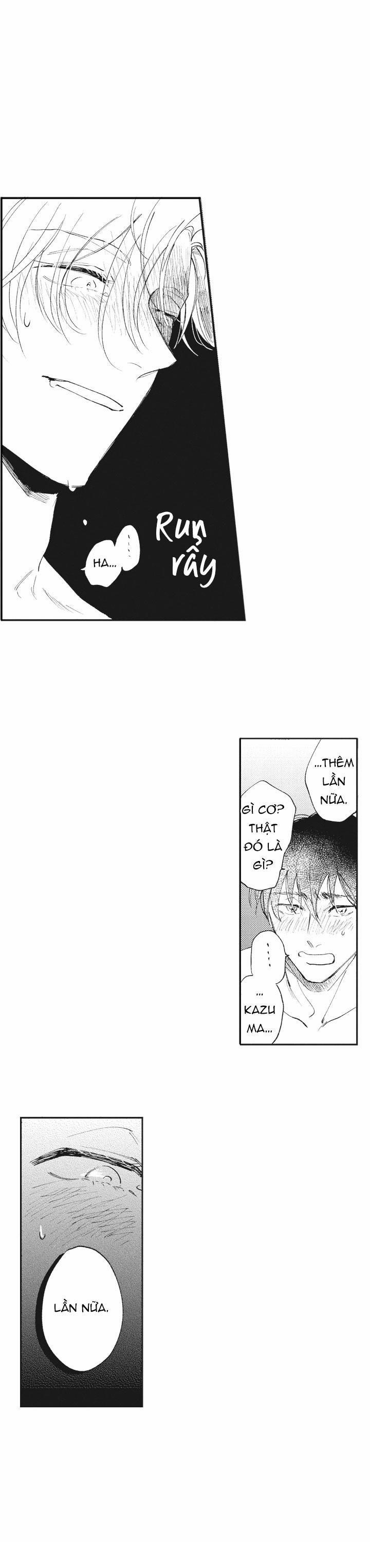 Healing Papadox 13 trang 8