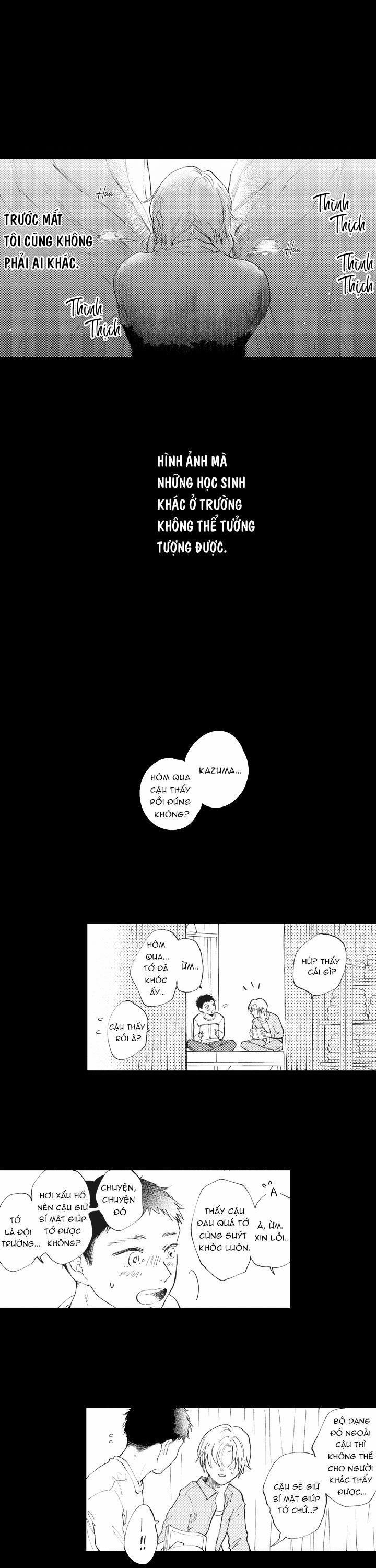 Healing Papadox 7 trang 12