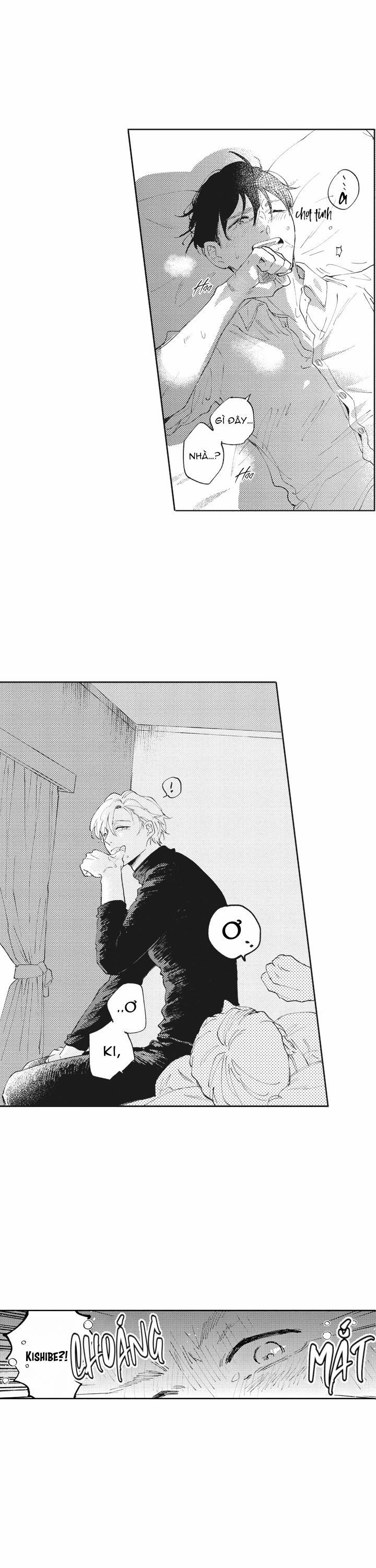 Healing Papadox 9 trang 5