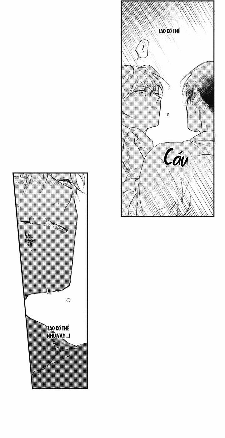 HEALING PARADOX 12 trang 4