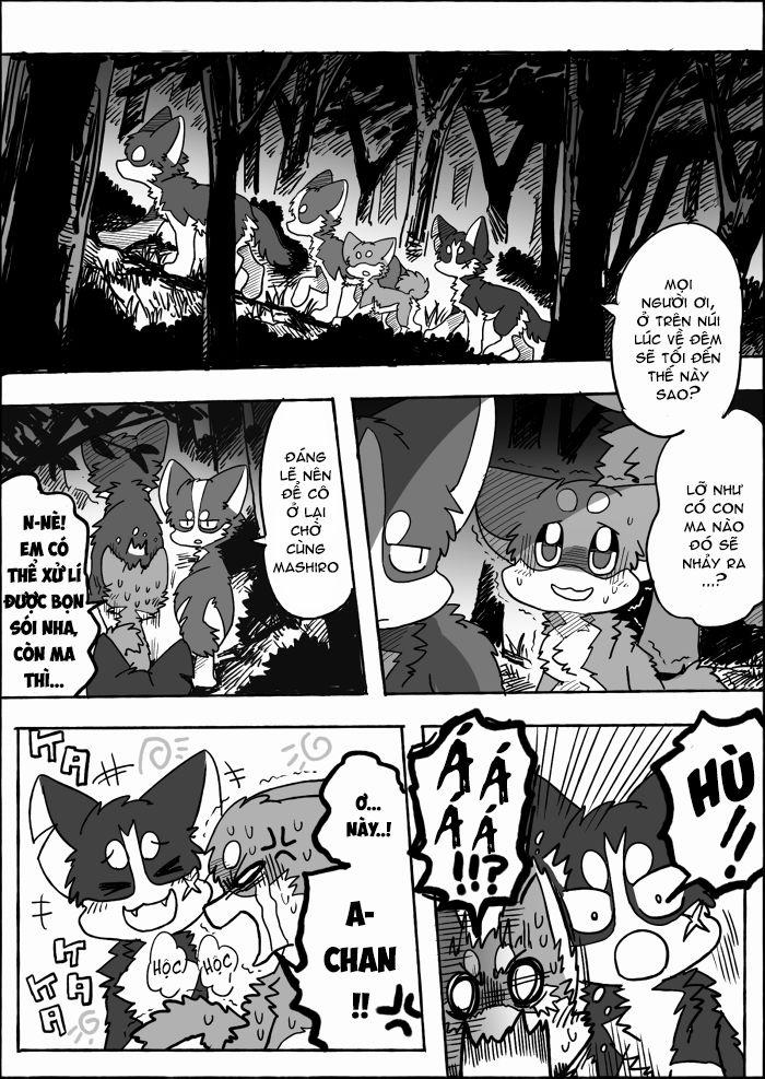 Helper Shibeta 0 Chó và Sói trang 2