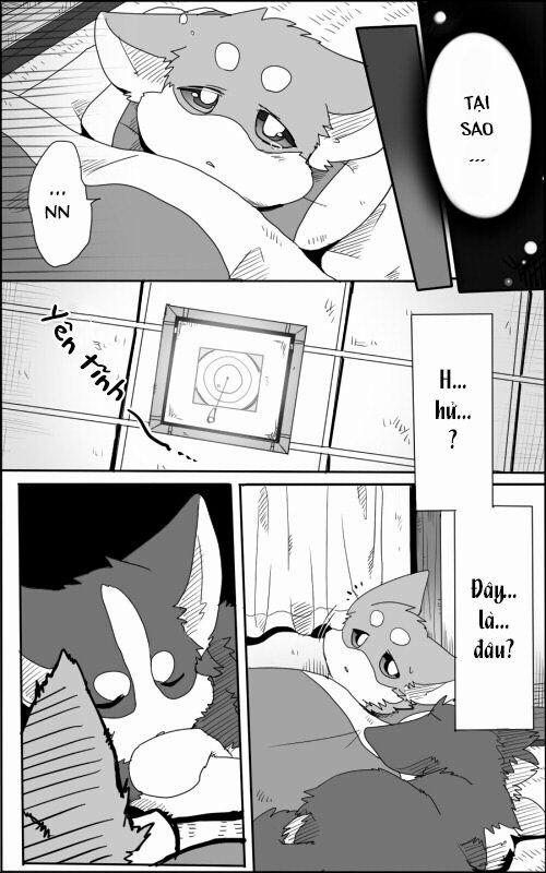 Helper Shibeta 1 trang 13