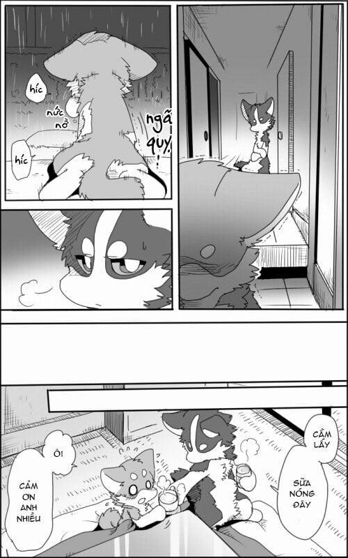 Helper Shibeta 1 trang 19