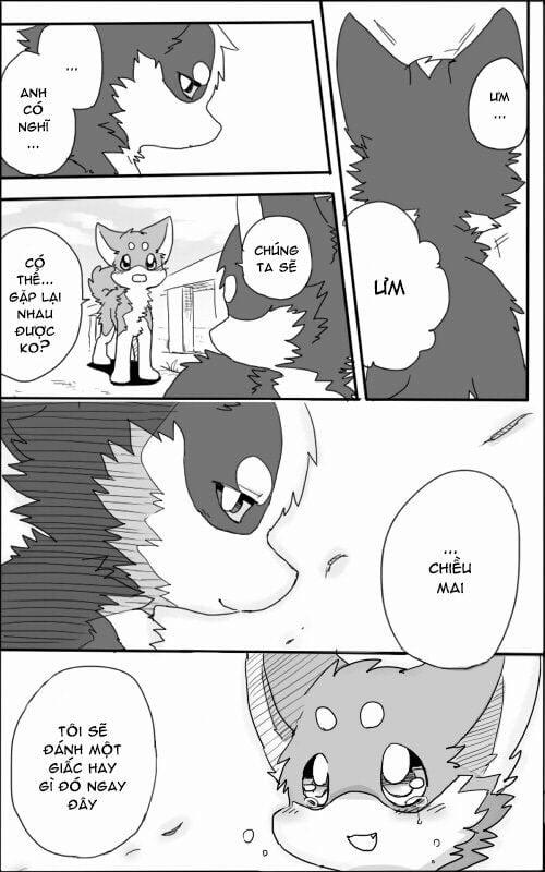 Helper Shibeta 1 trang 40