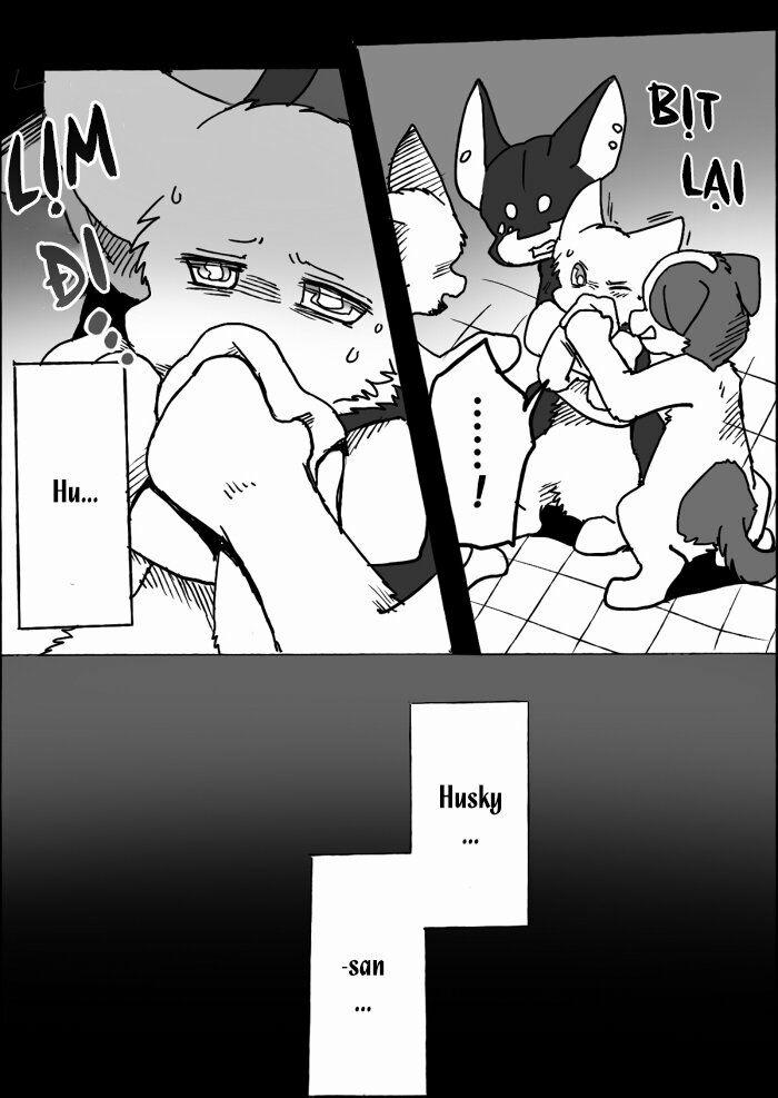 Helper Shibeta 10 trang 15