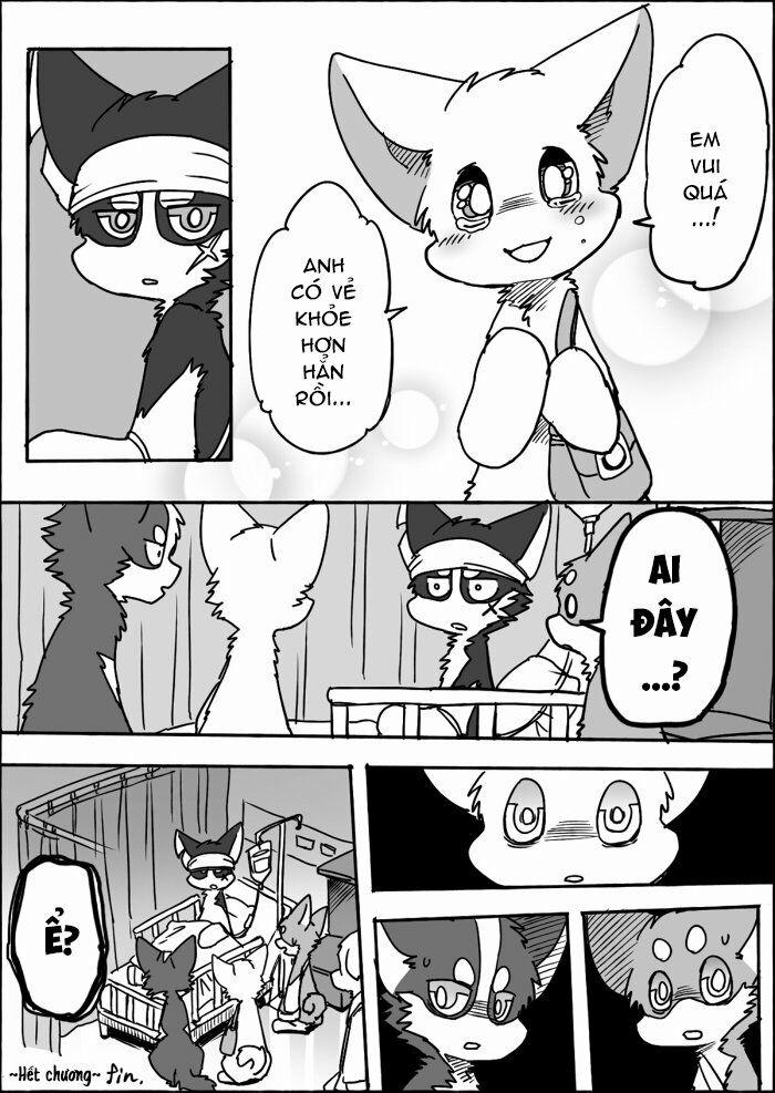 Helper Shibeta 10 trang 51