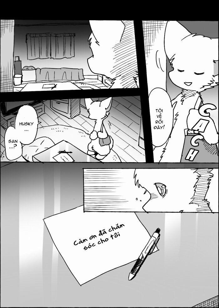 Helper Shibeta 10 trang 8