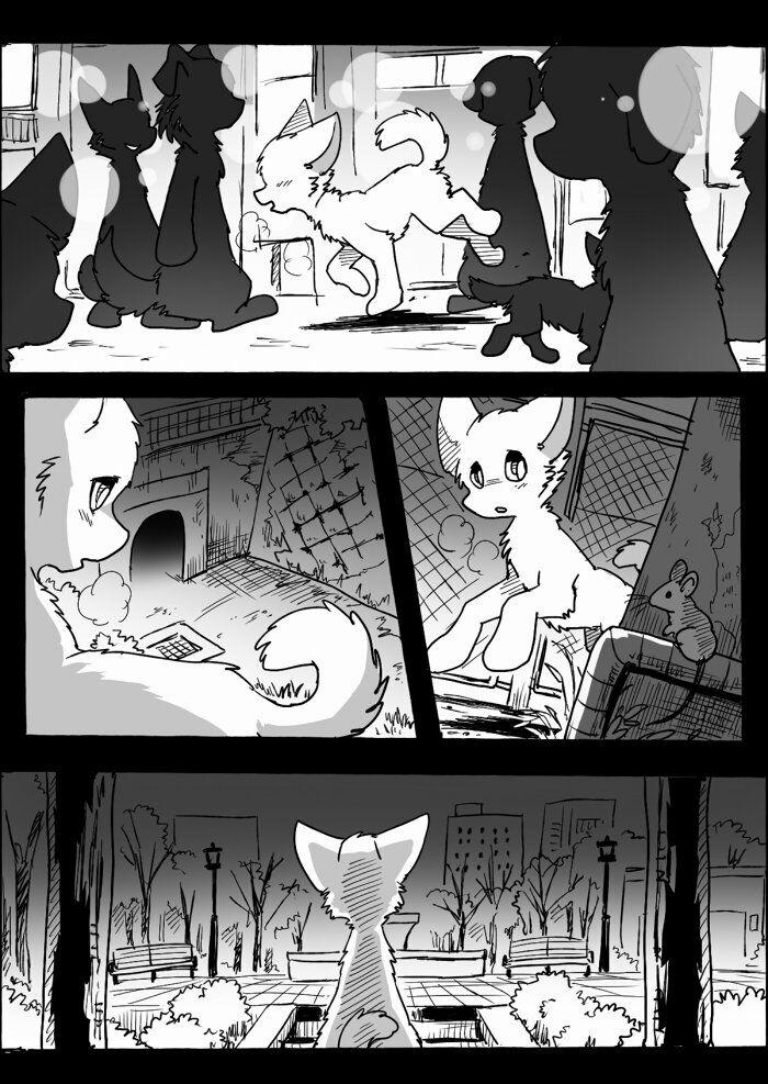 Helper Shibeta 10 trang 9