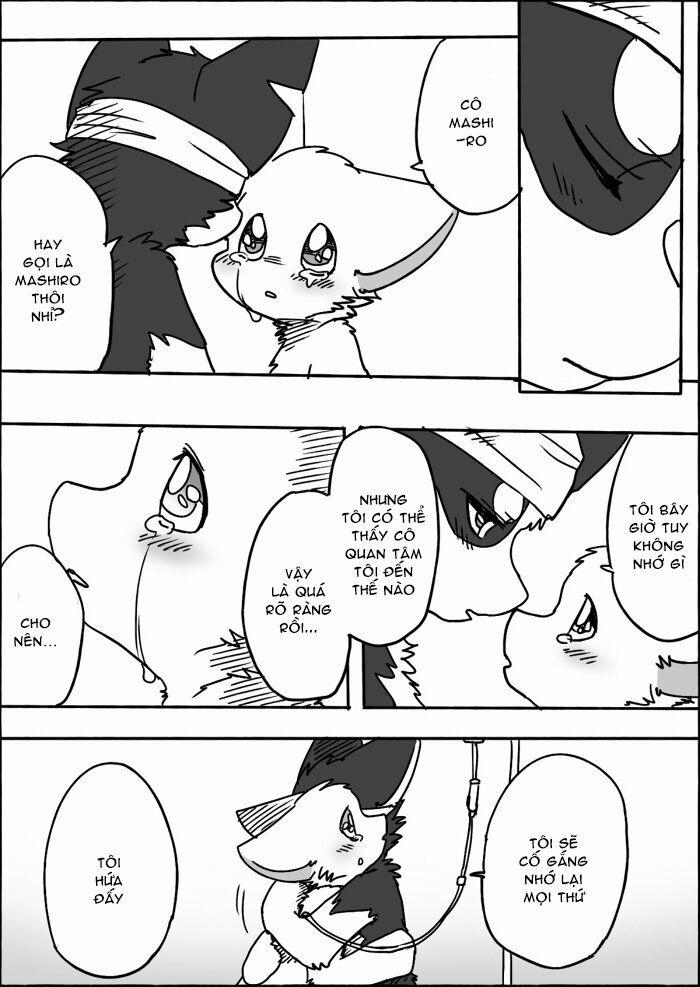 Helper Shibeta 11 trang 14