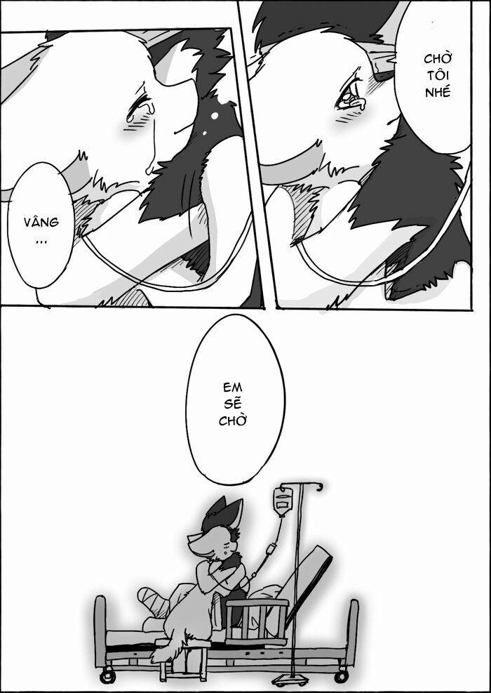 Helper Shibeta 11 trang 15