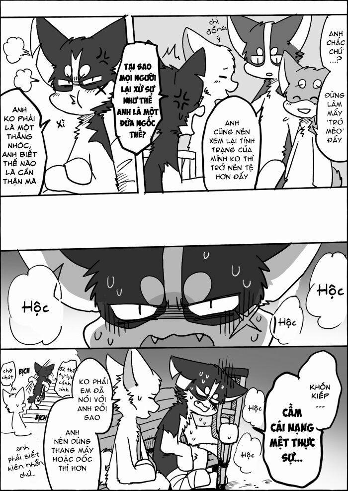 Helper Shibeta 11 trang 20