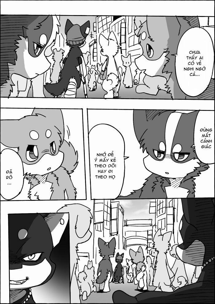 Helper Shibeta 12 trang 13