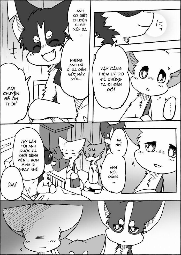 Helper Shibeta 12 trang 2