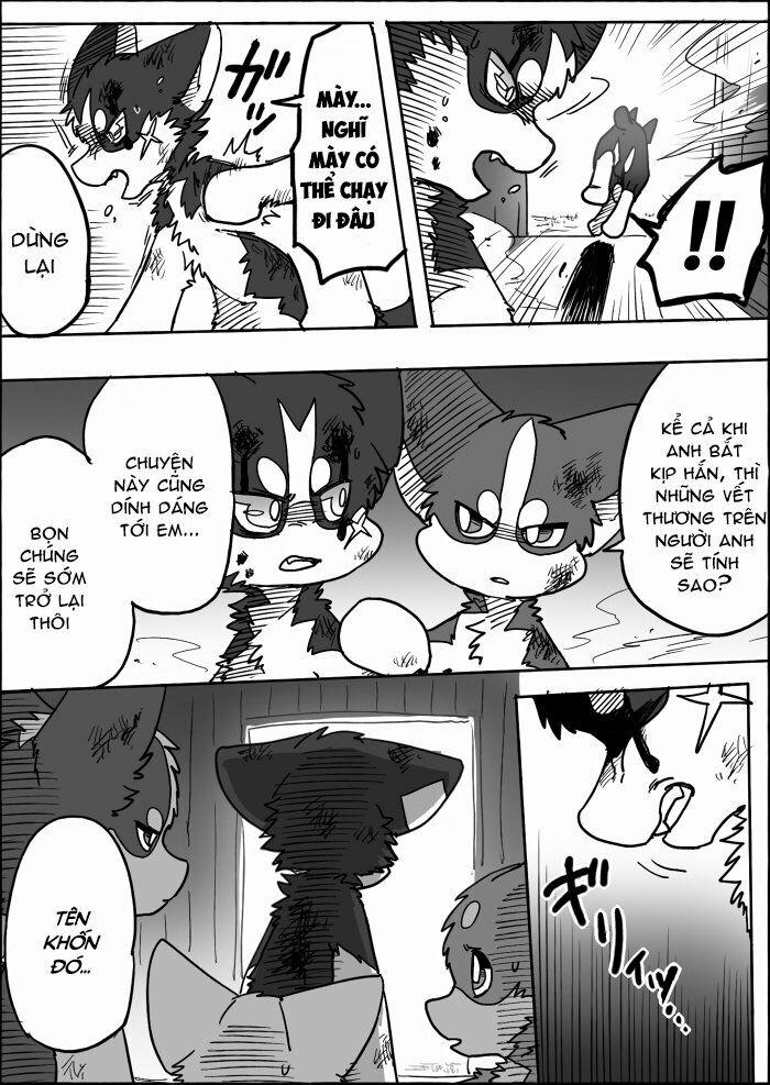 Helper Shibeta 12 trang 42