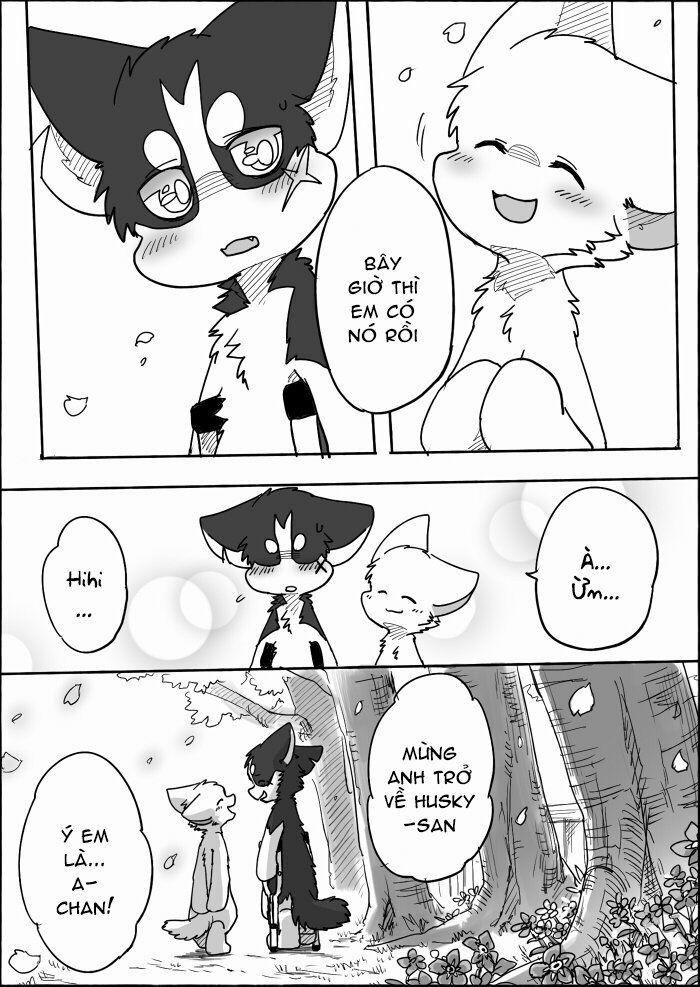 Helper Shibeta 12 trang 49