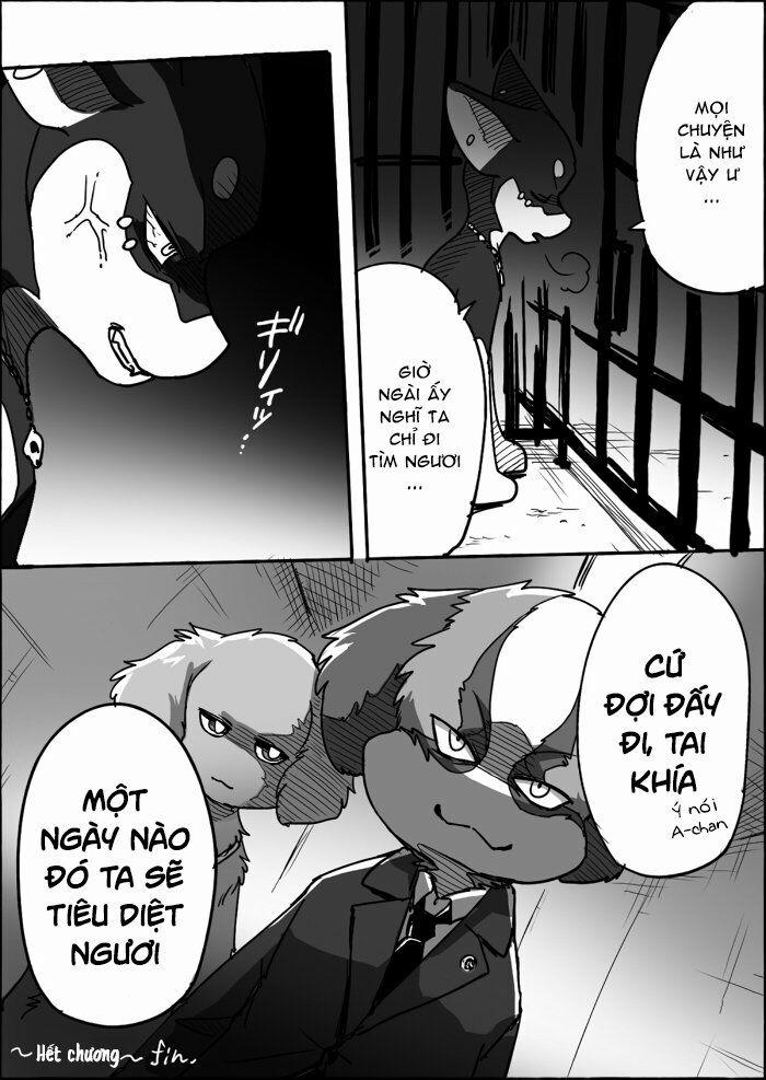 Helper Shibeta 12 trang 53