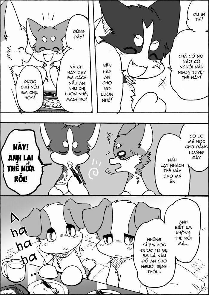 Helper Shibeta 13 trang 20