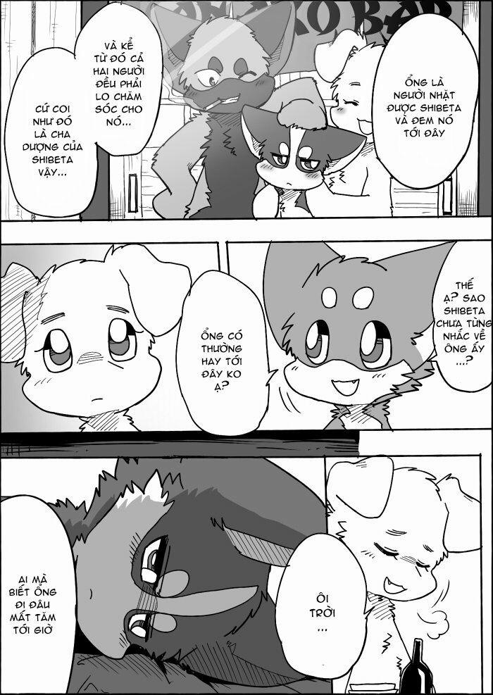 Helper Shibeta 13 trang 8