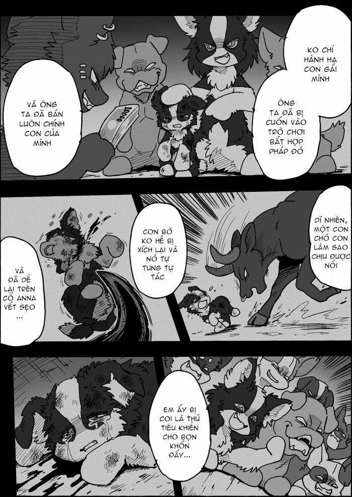 Helper Shibeta 14 trang 31