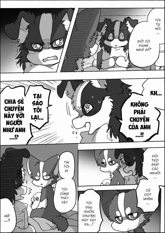 Helper Shibeta 14 trang 37