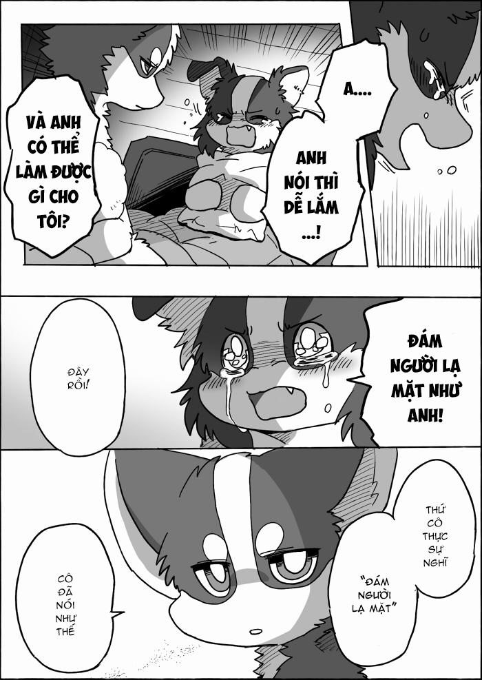 Helper Shibeta 14 trang 42