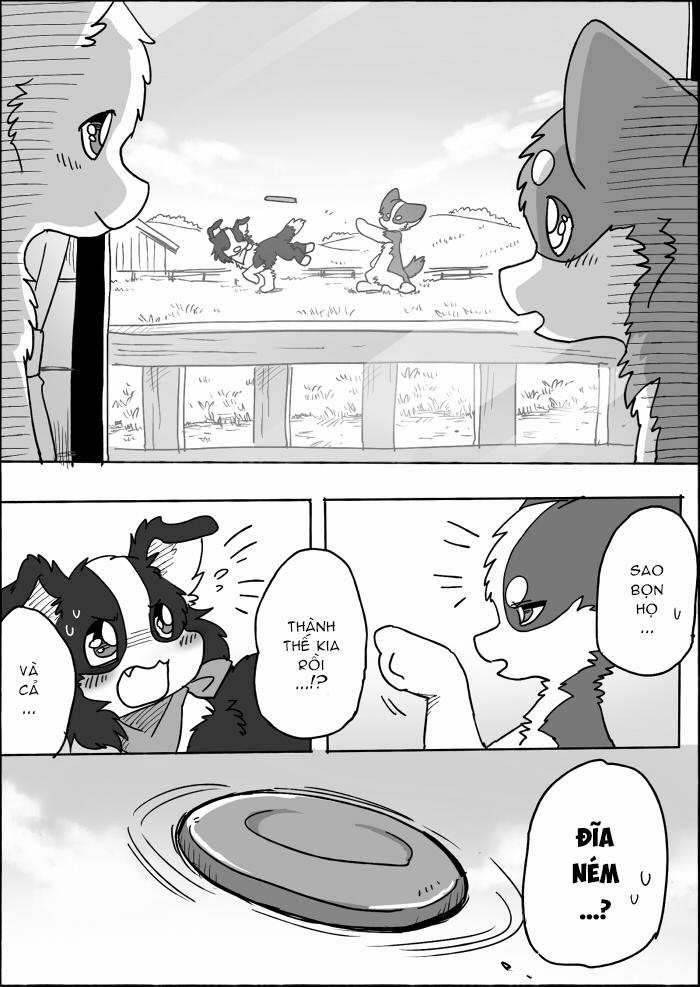 Helper Shibeta 14 trang 46