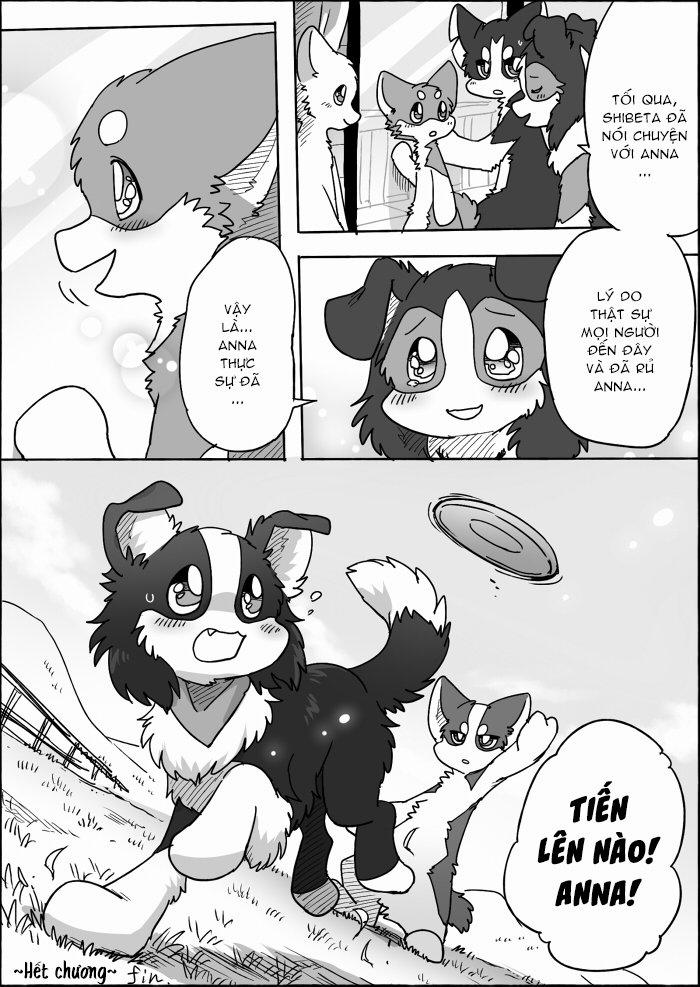 Helper Shibeta 14 trang 47