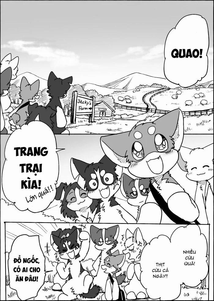 Helper Shibeta 14 trang 5