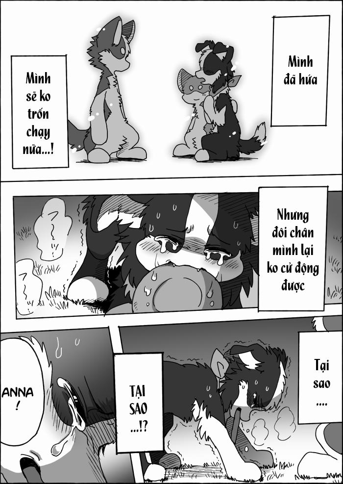 Helper Shibeta 15 trang 46