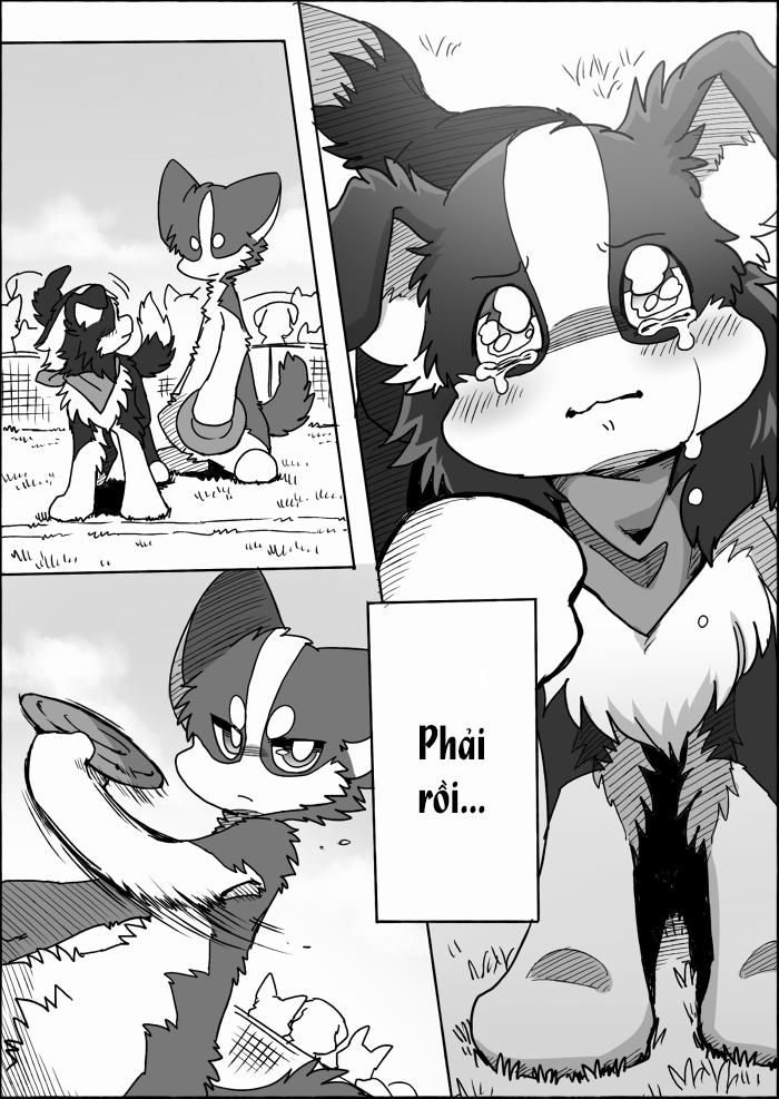 Helper Shibeta 15 trang 48