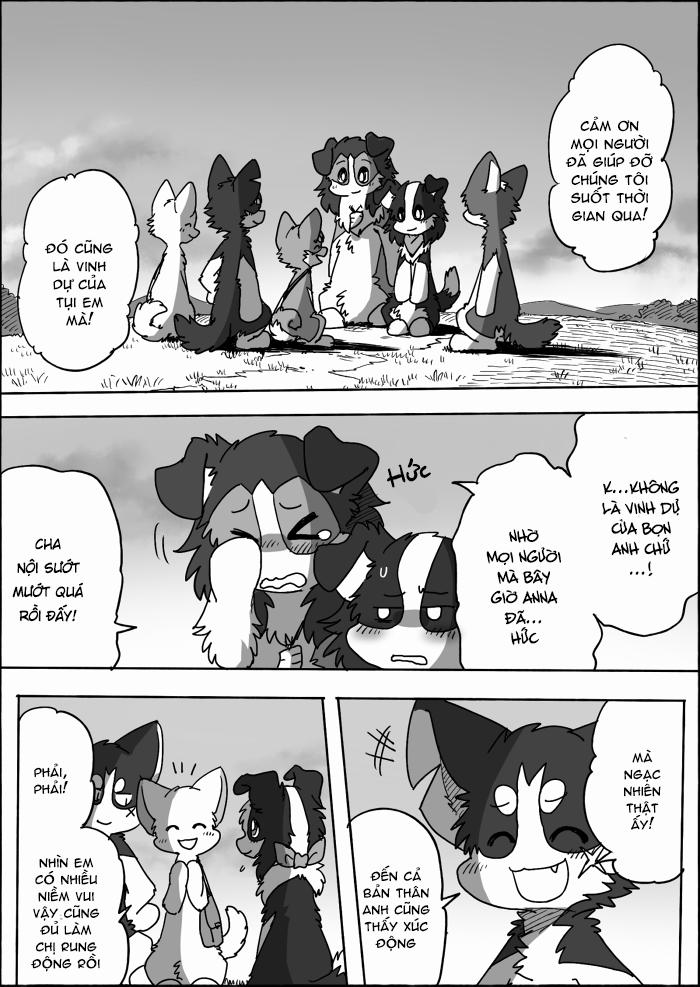 Helper Shibeta 15 trang 53