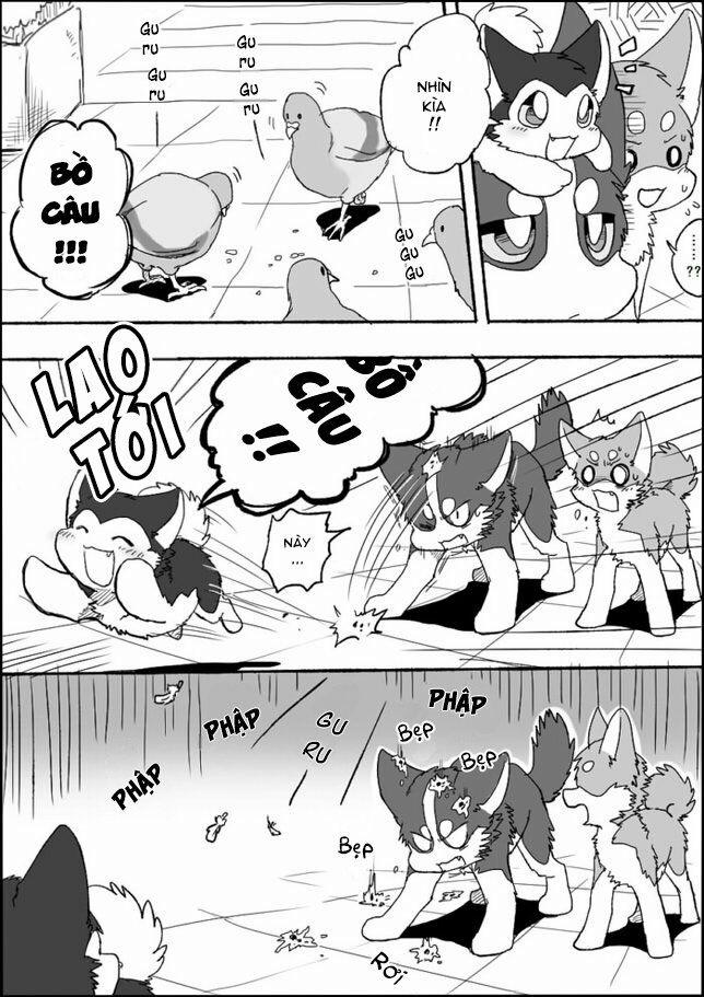 Helper Shibeta 2 trang 12