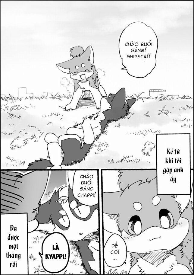 Helper Shibeta 2 trang 2