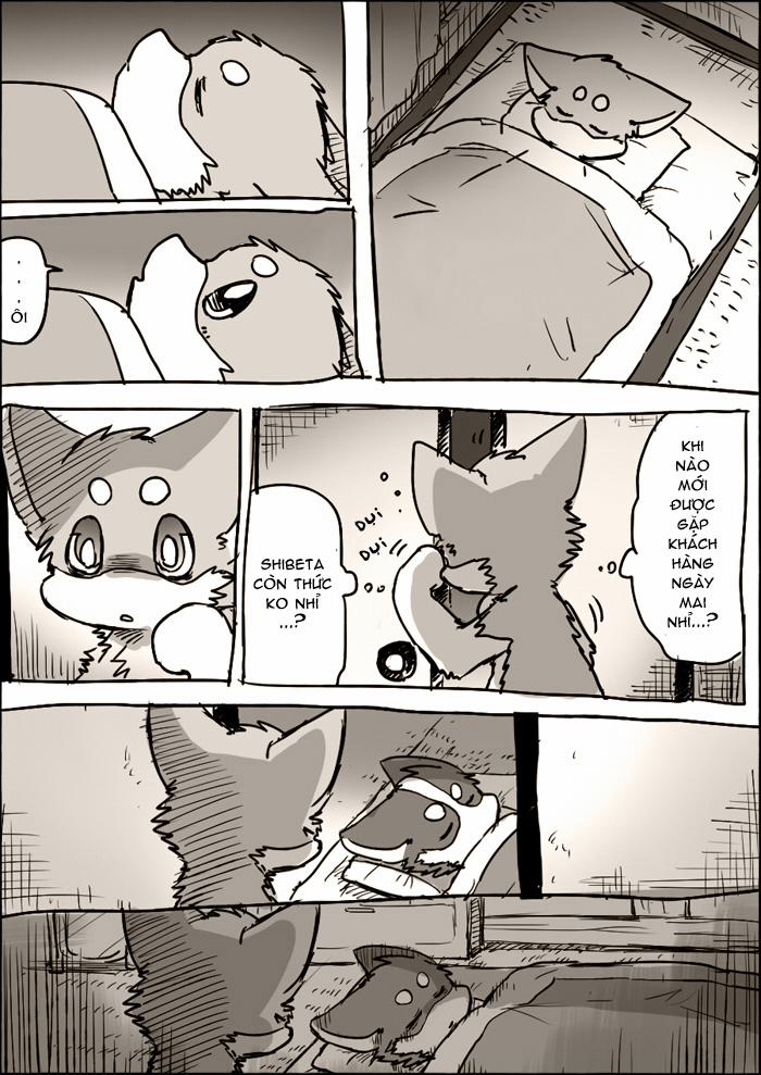 Helper Shibeta 3.5 trang 1