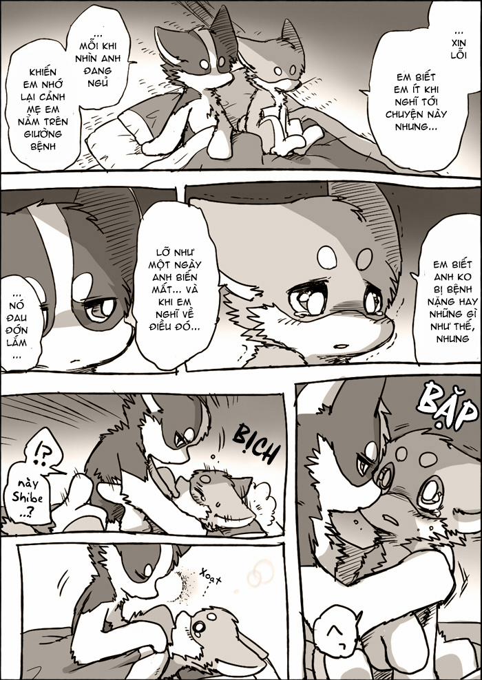 Helper Shibeta 3.5 trang 3