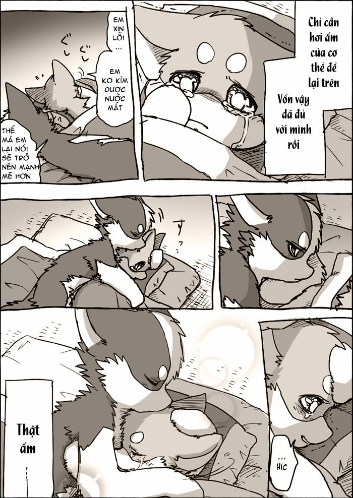 Helper Shibeta 3.5 trang 6